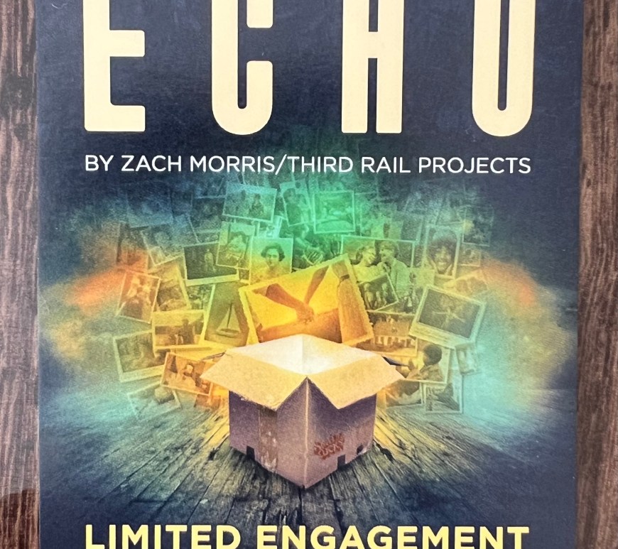 Promotional flier for SWEET & LUCKY: ECHO featuring a graphic of an open cardboard box and family photos in the background.